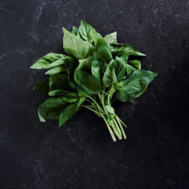 Basil